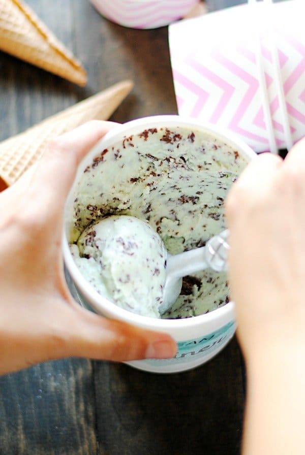 Baskin Robbins Mint Chocolate Chip Copycat Recipe | somethingswanky.com