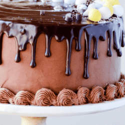 A mini cadbury egg cheesecake in between two layers of my favorite chocolate cake. Frosted with milk chocolate buttercream and topped with chocolate ganache!